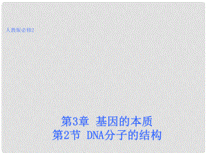 吉林省集安市第一中学高中生物 3.2 DNA分子的结构课件 新人教版必修2