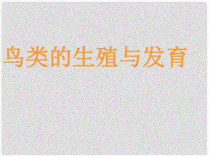 山东省胶南市理务关镇中心中学八年级生物下册 第七单元 第一章 第四节 鸟类的生殖与发育课件 新人教版