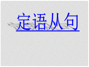 遼寧省沈陽(yáng)市第二十一中學(xué)高考英語(yǔ) 語(yǔ)法專題 定語(yǔ)從句復(fù)習(xí)課件