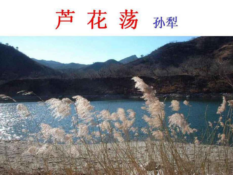 內(nèi)蒙古鄂爾多斯市康巴什新區(qū)第二中學(xué)八年級(jí)語(yǔ)文上冊(cè) 第2課 蘆花蕩課件3 新人教版_第1頁(yè)