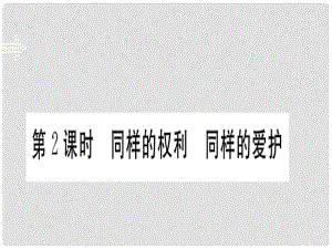 八年級政治下冊 第三課 第2框 同樣的權(quán)利 同樣的愛護課件 新人教版