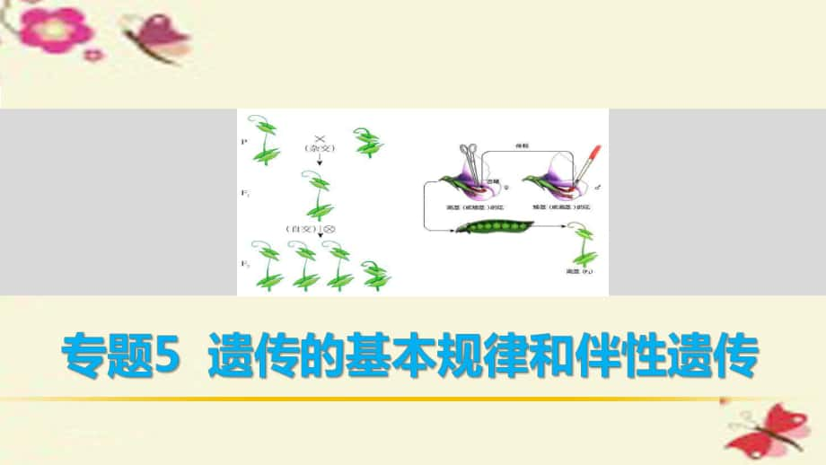 高考生物二輪復習 考前三個月 專題5 遺傳的基本規(guī)律和伴性遺傳 考點15 透過規(guī)律相關“比例”掌握規(guī)律內(nèi)容“實質(zhì)”課件_第1頁