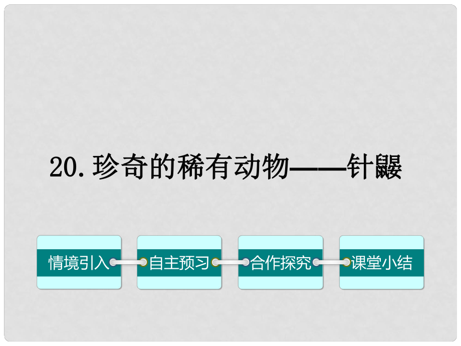 七年级语文下册 第五单元 20《珍奇的稀有动物——针鼹》课件 （新版）语文版_第1页