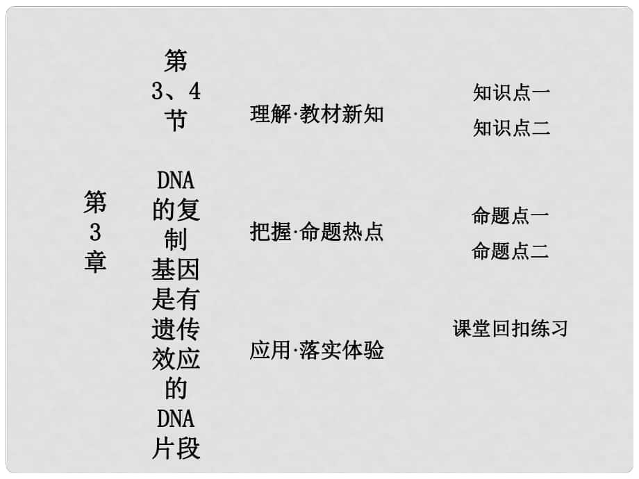 高中生物 第3章 第3、4節(jié) DNA的復制 基因是有遺傳效應的DNA片段課件 新人教版必修2_第1頁