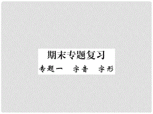 七年級語文下冊 專題一 字音 字形復(fù)習(xí)課件 （新版）新人教版