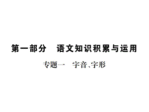 中考語(yǔ)文 第一部分 積累與應(yīng)用 專題13復(fù)習(xí)課件