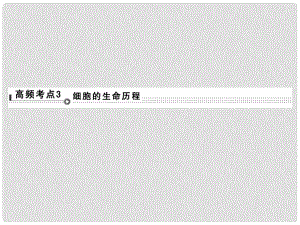 高考生物二輪專題復(fù)習(xí) 體系通關(guān)強(qiáng)化練 突破選擇題11個(gè)高頻考點(diǎn) 考點(diǎn)3 細(xì)胞的生命歷程課件
