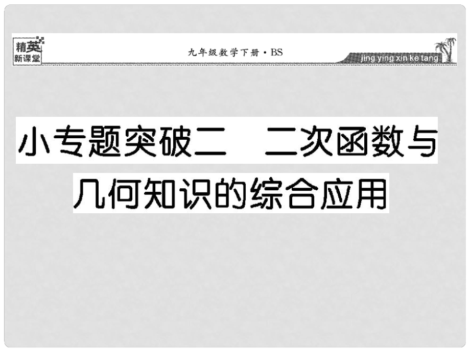 九年級數(shù)學下冊 小專題突破二 二次函數(shù)與幾何知識的綜合應(yīng)用課件 （新版）北師大版_第1頁