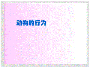 廣東省珠海市第九中學(xué)八年級(jí)生物上冊(cè) 第16章 第1節(jié) 先天性行為和后天學(xué)習(xí)行為課件1 北師大版