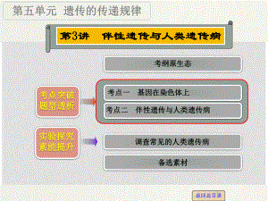 高考生物一輪復(fù)習(xí) 第五單元 第3講 伴性遺傳與人類遺傳病課件