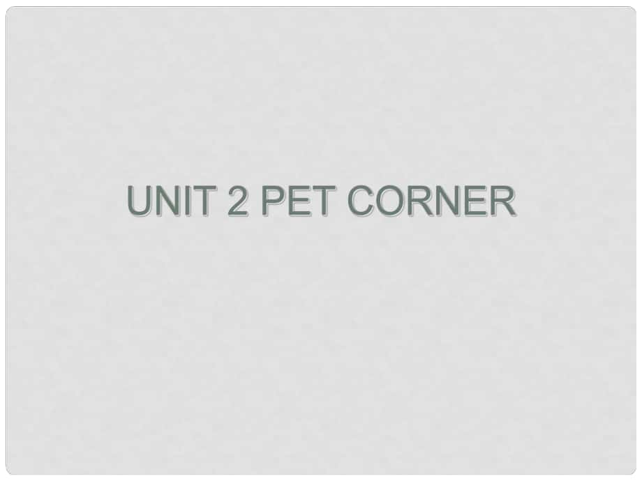 三年級英語下冊《Unit 2 Pet corner》課件3 深港朗文版_第1頁