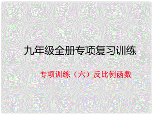 九年級數(shù)學(xué)下冊 專項訓(xùn)練六 反比例函數(shù)作業(yè)課件 北師大版