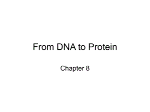 The Blueprint of Life, From DNA to Protein：生命的蓝图从DA到蛋白质