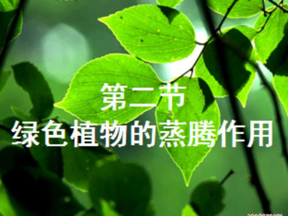 七年级生物上册 第2单元 第1章 第2节 绿色植物的蒸腾作用课件 济南版_第1页