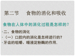 江西省吉安縣鳳凰中學(xué)七年級生物下冊 第二節(jié) 食物的消化和吸收課件 新人教版