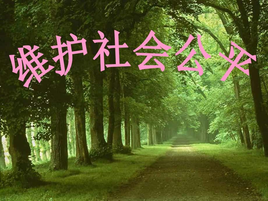 湖南省長(zhǎng)沙市雨花區(qū)井灣子中學(xué)八年級(jí)政治下冊(cè) 4.9.2 維護(hù)社會(huì)公平課件 新人教版_第1頁(yè)