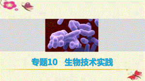 高考生物二輪復(fù)習(xí) 考前三個(gè)月 專題10 生物技術(shù)實(shí)踐 考點(diǎn)31 微生物的利用及在傳統(tǒng)發(fā)酵技術(shù)中的應(yīng)用課件