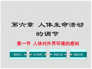 七年級生物下冊 第六章 第一節(jié) 人體對外界環(huán)境的感知課件 （新版）新人教版