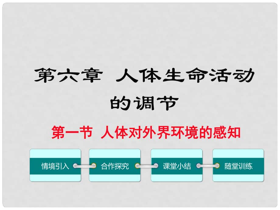 七年級(jí)生物下冊(cè) 第六章 第一節(jié) 人體對(duì)外界環(huán)境的感知課件 （新版）新人教版_第1頁(yè)