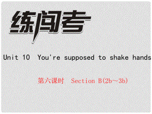 九年級(jí)英語全冊(cè) Unit 10 You're supposed to shake hands（第6課時(shí)）Section B（2b3b）課件 （新版）人教新目標(biāo)版