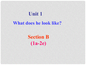 七年級英語上冊 Unit 1 What does he look like？Section B（1a2e）課件 魯教版五四制