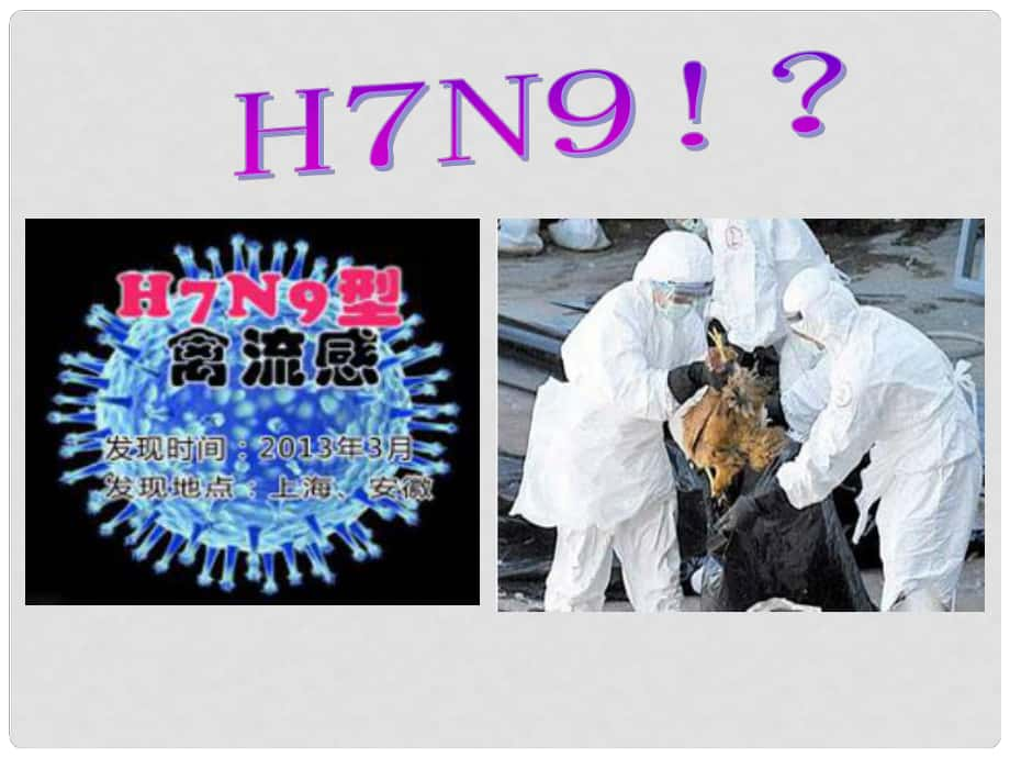 浙江省嘉興市第三中學高中化學《專題三 蛋白質和氨基酸》課件 蘇教版必修2_第1頁