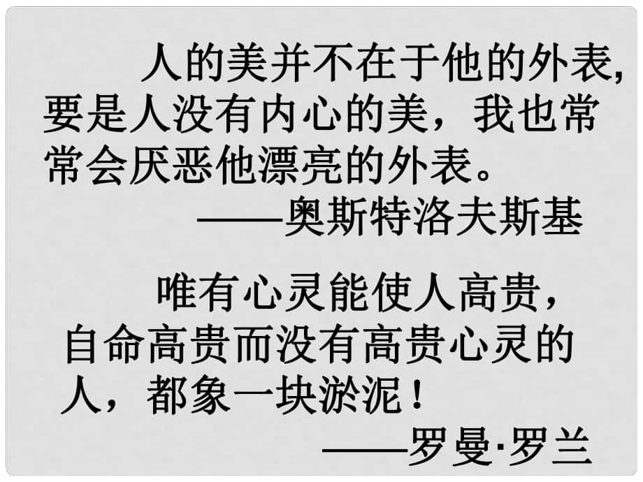 山東省日照市東港實(shí)驗(yàn)學(xué)校八年級(jí)語(yǔ)文下冊(cè) 4 列夫 托爾斯泰課件1 新人教版_第1頁(yè)