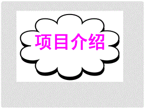 廣東省深圳市高考英語(yǔ)二輪復(fù)習(xí) 基礎(chǔ)寫(xiě)作 高效解題密招 項(xiàng)目介紹課件