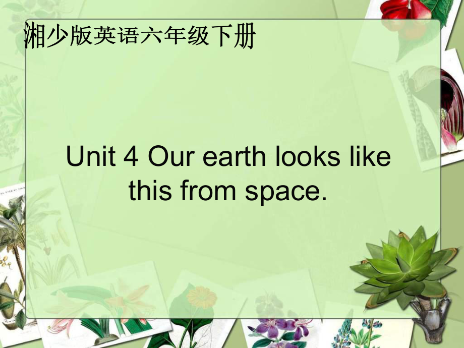 湘少版英語六下Unit4 Our earth looks like this from spacePPT課件_第1頁