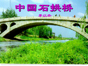 河南省南乐县张果屯镇初级中学八年级语文上册 11 中国石拱桥课件 新人教版