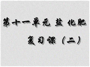 湖南省耒陽(yáng)市冠湘中學(xué)九年級(jí)化學(xué)下冊(cè) 第十一單元 鹽 化肥課件2 新人教版