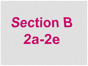 山東省滕州市滕西中學(xué)九年級(jí)英語全冊(cè) Unit 9 I like music that I can dance to Section B（2a2e）課件 （新版）人教新目標(biāo)版