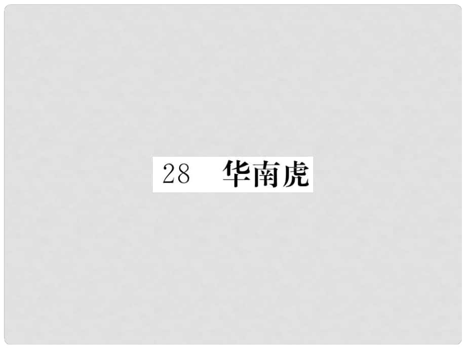 七年級(jí)語文下冊(cè) 第六單元 28 華南虎作業(yè)課件 （新版）新人教版_第1頁