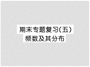 八年級數(shù)學(xué)下學(xué)期 期末專題復(fù)習(xí)五 頻數(shù)及其分布課件 （新版）湘教版