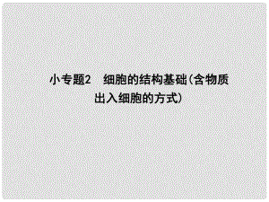 高三生物二輪復(fù)習(xí) 專題一 生命系統(tǒng)的細(xì)胞基礎(chǔ) 2 細(xì)胞的結(jié)構(gòu)基礎(chǔ)（含物質(zhì)出入細(xì)胞的方式）課件