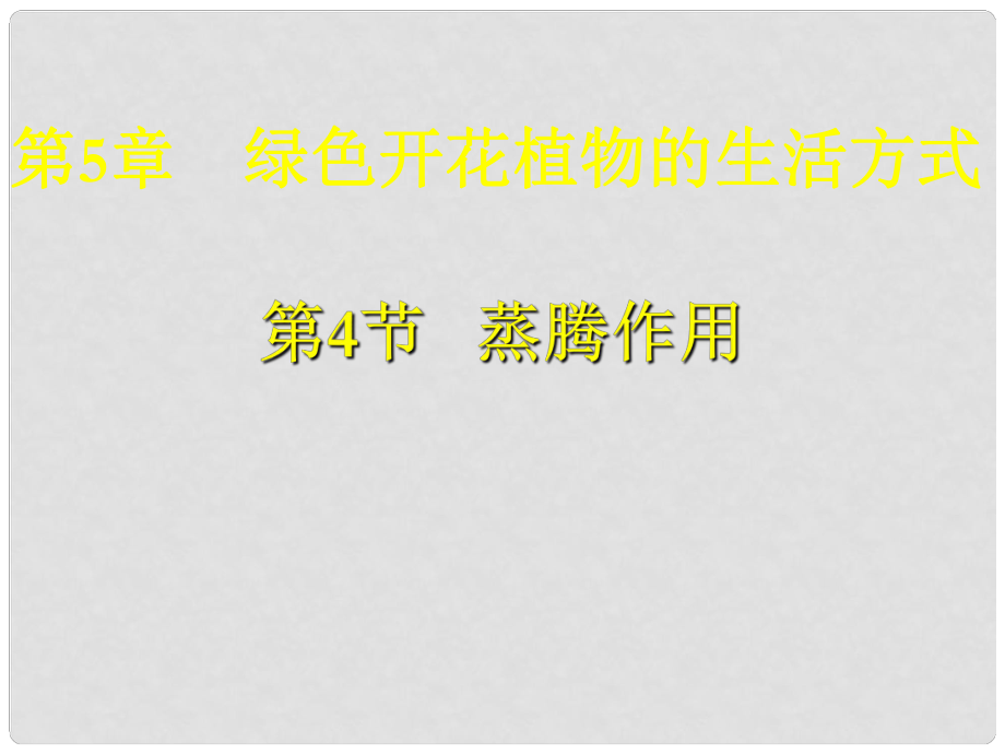 七年級(jí)生物上冊(cè) 第5章 第四節(jié) 蒸騰作用課件 北師大版_第1頁