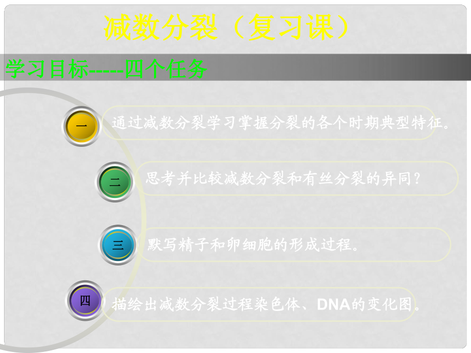 甘肅省白銀市會(huì)寧縣第四中學(xué)高中生物 減數(shù)分裂課件 新人教版必修2_第1頁