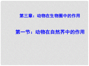 廣東省珠海市第九中學(xué)八年級生物上冊 第17章 第1節(jié) 動物在生物圈中的作用課件 北師大版