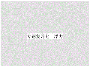 九年級物理下冊 專題復習7 浮力課件 （新版）粵教滬版