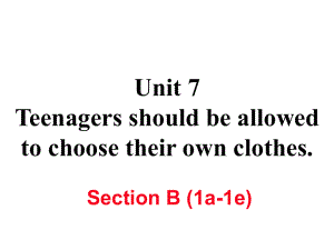 九年級英語全冊 Unit 7 Teenagers should be allowed to choose their own clothes（第4課時(shí)）Section B（1a1e）作業(yè)課件 （新版）人教新目標(biāo)版