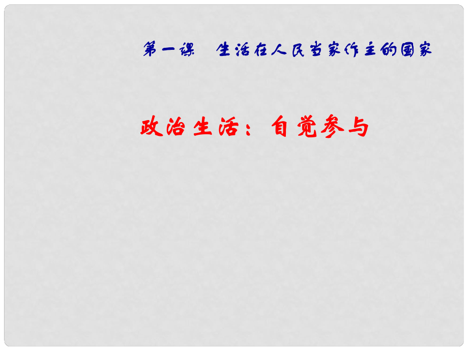 廣東省揭陽一中高考政治復(fù)習(xí) 1.3 政治生活 積極參與 重在實(shí)踐課件2 新人教版必修2_第1頁