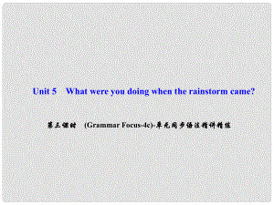 八年級英語下冊 Unit 5 What were you doing when the rainstorm came（第3課時）(Grammar Focus4c)同步語法精講精練課件 （新版）人教新目標(biāo)版