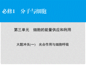 高考生物大一輪復(fù)習(xí) 大題沖關(guān)1 光合作用與細胞呼吸課件