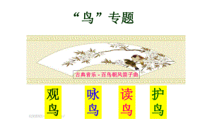 江蘇省射陽(yáng)縣特庸初級(jí)中學(xué)八年級(jí)語(yǔ)文下冊(cè) 第一單元“鳥(niǎo)”專(zhuān)題課件 （新版）蘇教版