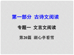 河南省中考語(yǔ)文 第一部分 古代詩(shī)文閱讀 專題一 文言文閱讀 第20篇 湖心亭看雪課件