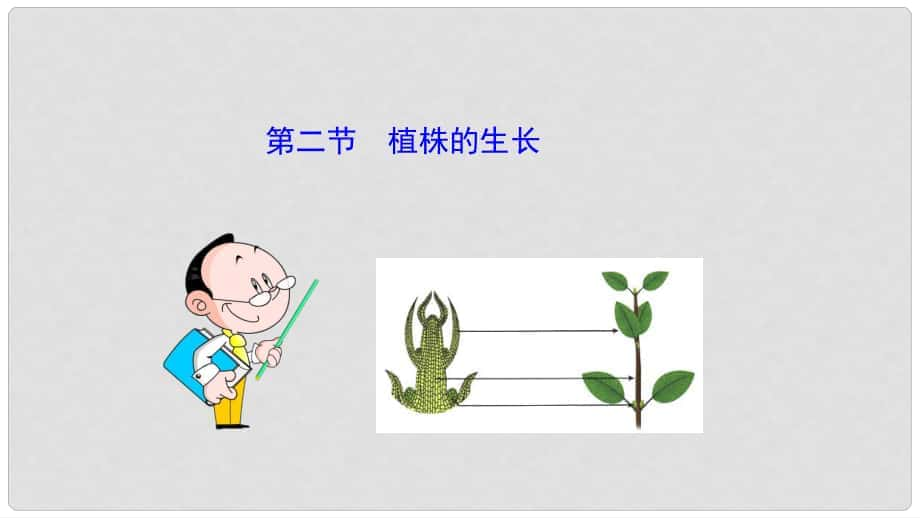 湖北省北大附中武漢為明實驗學校七年級生物上冊 第3單元 第2章 第2節(jié) 植株的生長課件 （新版 ）新人教版_第1頁