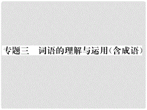 中考命題研究（懷化）中考語(yǔ)文 第二編 積累運(yùn)用突破篇 專(zhuān)題三 詞語(yǔ)的理解與運(yùn)用（含成語(yǔ)）精講課件