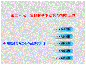 高考生物一輪復習 第二單元 細胞的基本結構與物質(zhì)運輸 04 細胞器的分工合作（生物膜系統(tǒng)）課件 新人教版