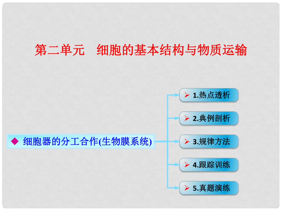 高考生物一輪復(fù)習(xí) 第二單元 細(xì)胞的基本結(jié)構(gòu)與物質(zhì)運(yùn)輸 04 細(xì)胞器的分工合作（生物膜系統(tǒng)）課件 新人教版_第1頁