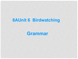 江蘇省永豐初級(jí)中學(xué)八年級(jí)英語(yǔ)上冊(cè)《Unit 6 Bird watching grammar》課件 （新版）牛津版